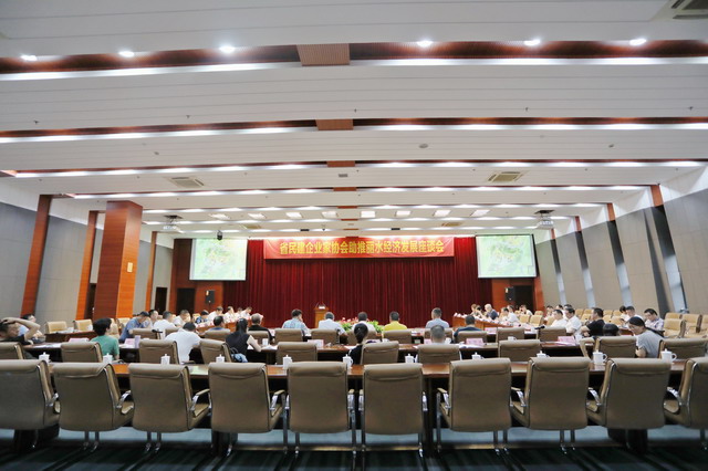 省民建企业家协会助推丽水经济发展座谈会在丽水举行