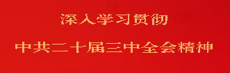 深入学习贯彻中共二十届三中全会精神