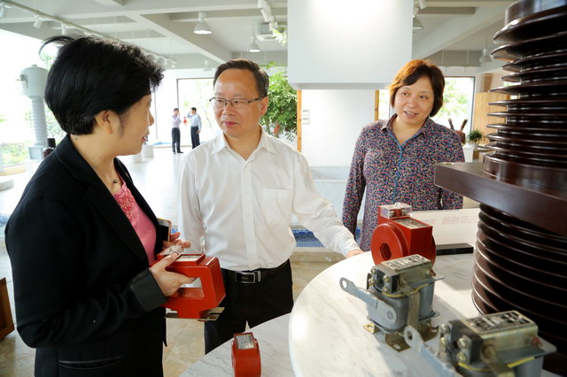 陈小平主委赴江山走访民建会员企业